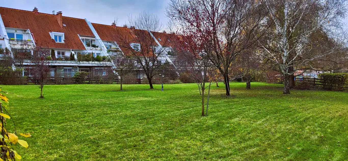 metszés Budapesten és környékén