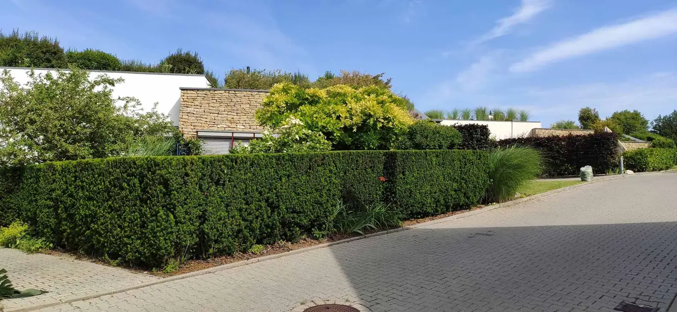 park és kertfenntartás Budapesten és környékén