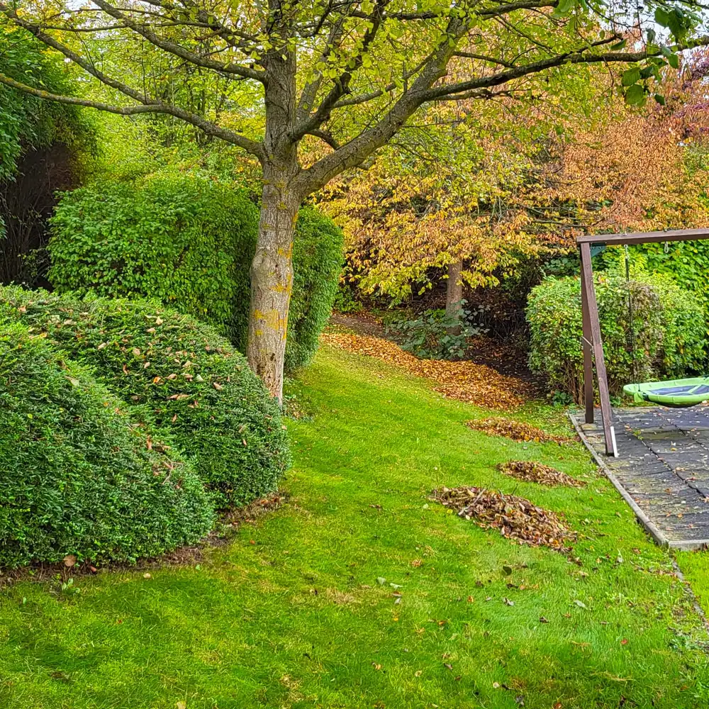 Társasházi kertfenntartás 2